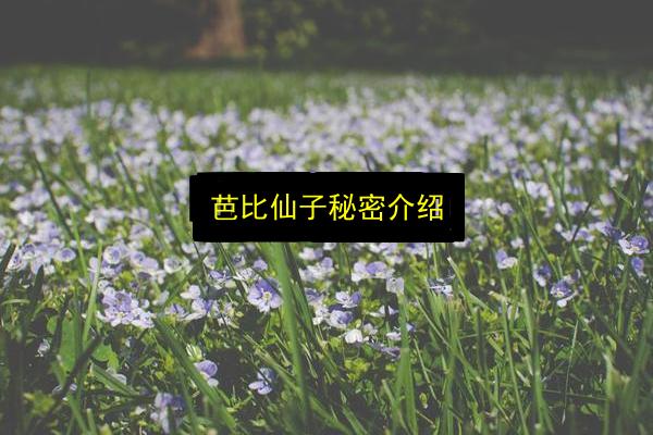 文章配图