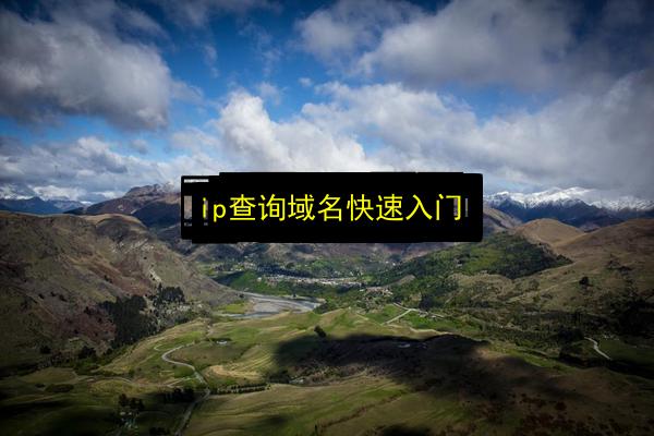 ip查询域名快速入门插图 文章配图