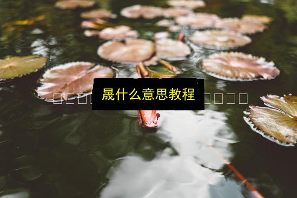 文章配图
