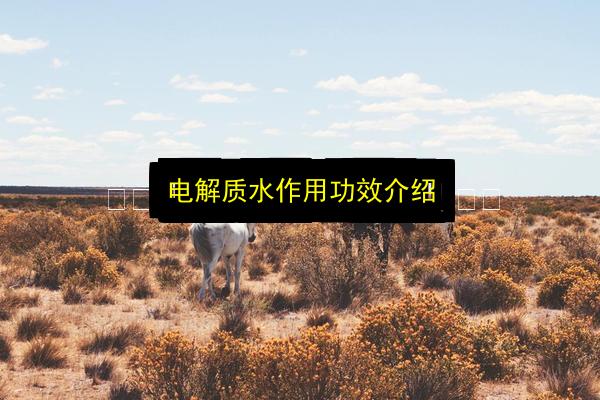 电解质水作用功效介绍插图 文章配图