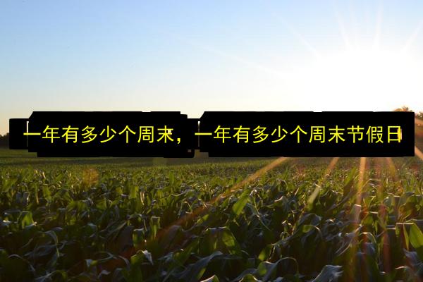 一年有多少个周末,一年有多少个周末节假日插图 文章配图