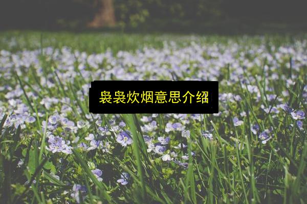 文章配图