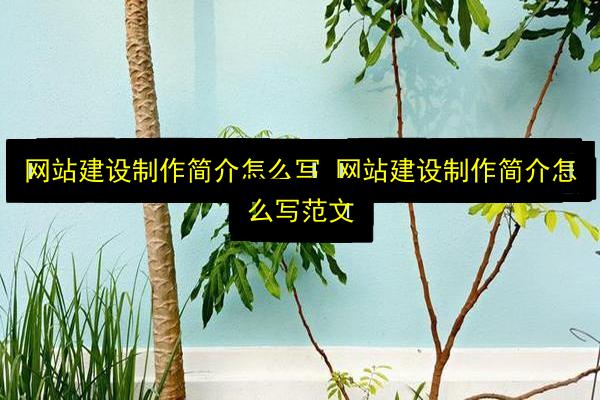 文章配图