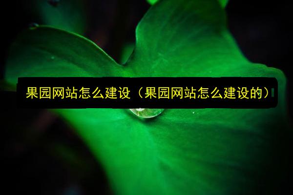 文章配图