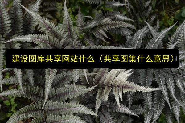 文章配图