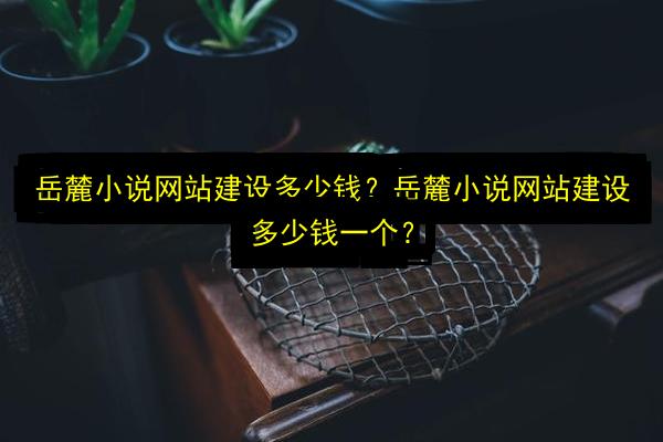 文章配图