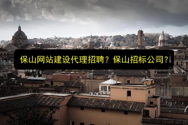 保山网站建设代理招聘?保山招标公司?插图 文章配图