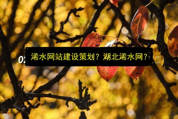 文章配图