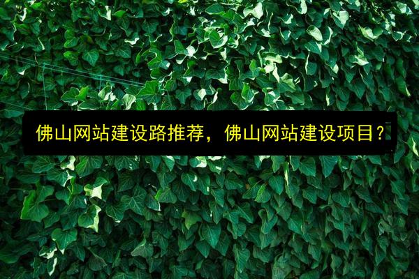 文章配图