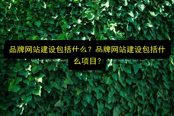 文章配图