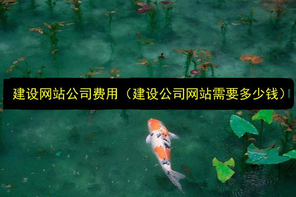 文章配图