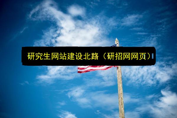 研究生网站建设北路(研招网网页)插图 文章配图