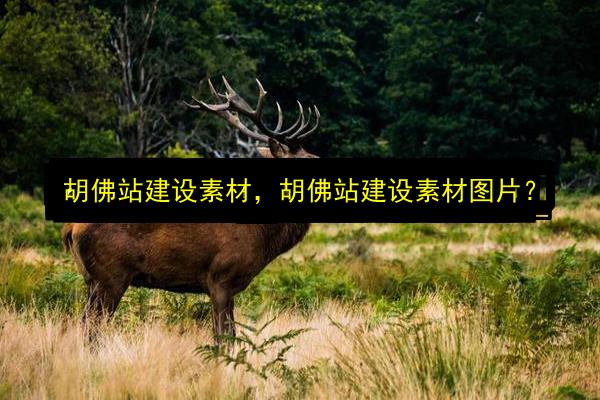 文章配图