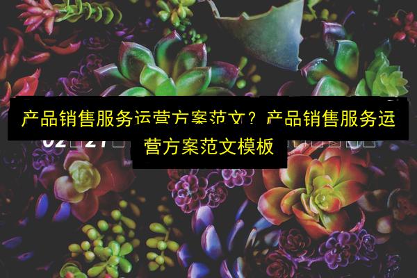 文章配图