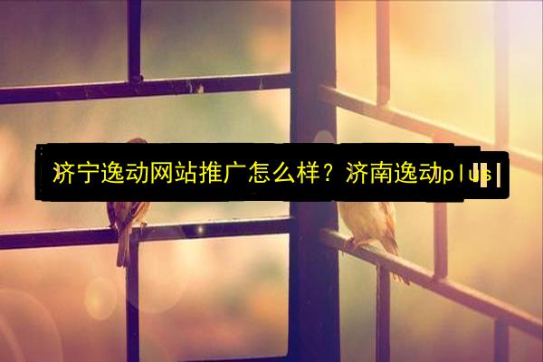 济宁逸动网站推广怎么样?济南逸动plus插图 文章配图