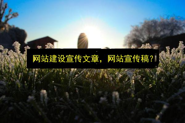 文章配图