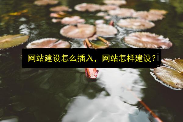 文章配图