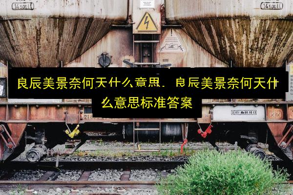 文章配图