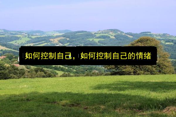 文章配图