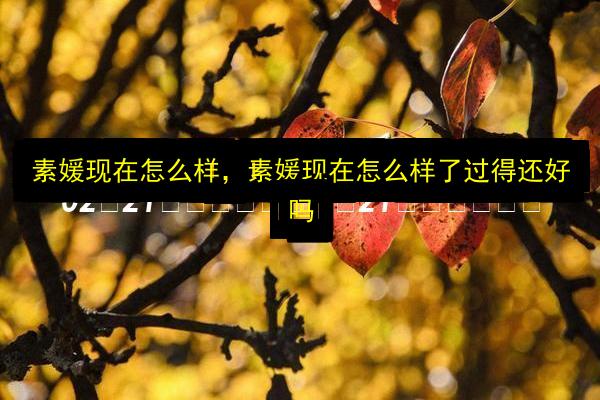 素媛现在怎么样,素媛现在怎么样了过得还好吗插图 文章配图