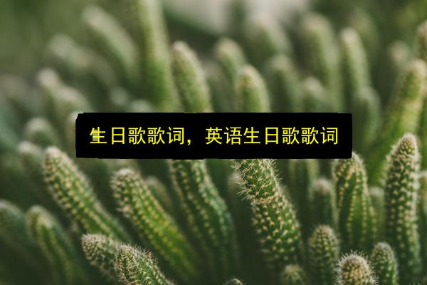 文章配图