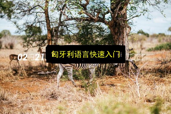 文章配图