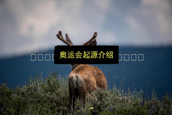 文章配图