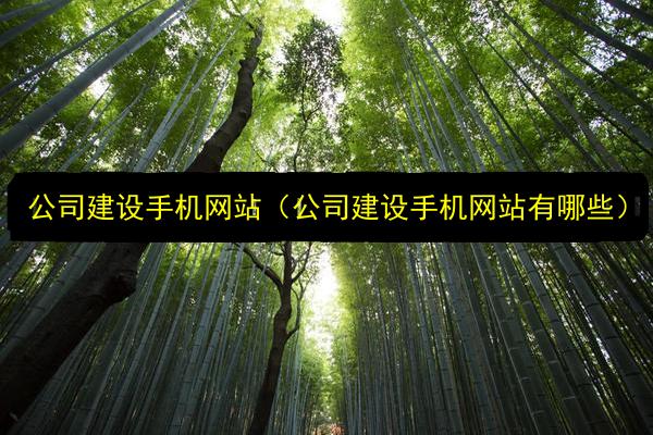 文章配图