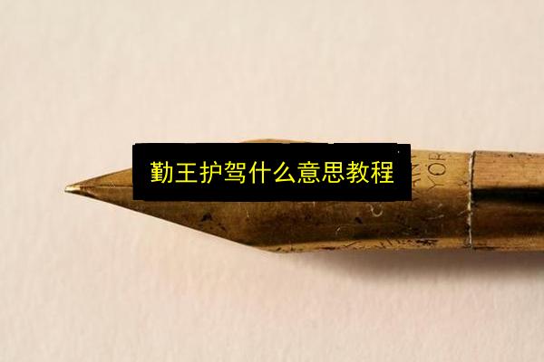 勤王护驾什么意思教程插图 文章配图