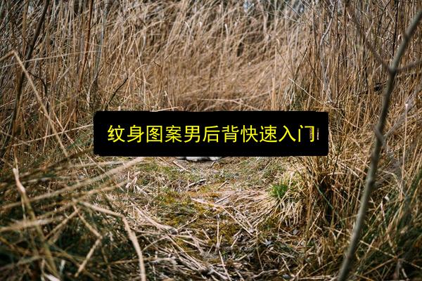文章配图