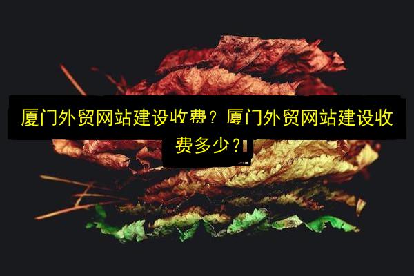 文章配图