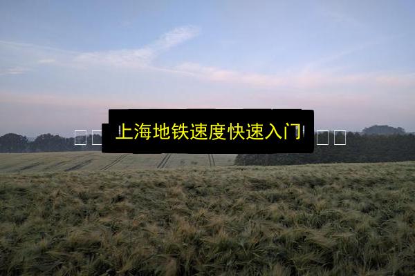 文章配图