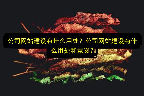 文章配图