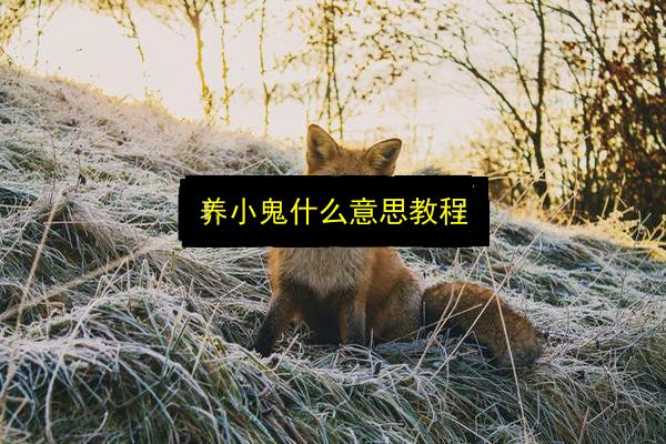 养小鬼什么意思教程插图 文章配图