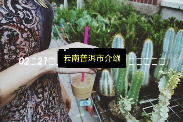 云南普洱市介绍插图 文章配图