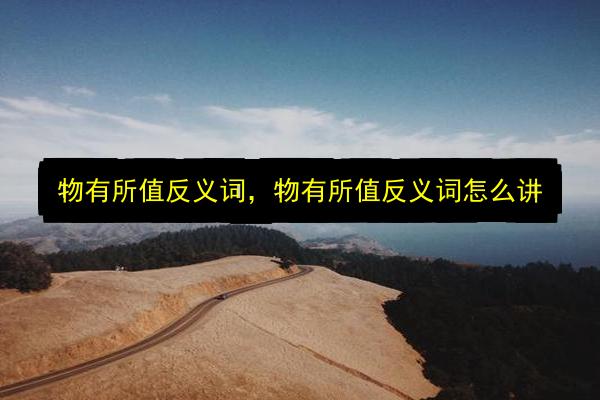 物有所值反义词,物有所值反义词怎么讲插图 文章配图