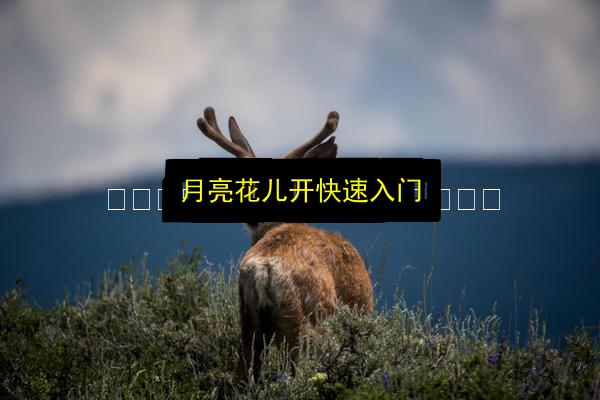 文章配图