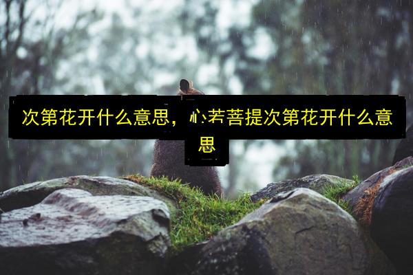 文章配图