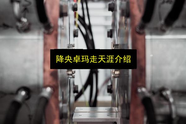 降央卓玛走天涯介绍插图 文章配图