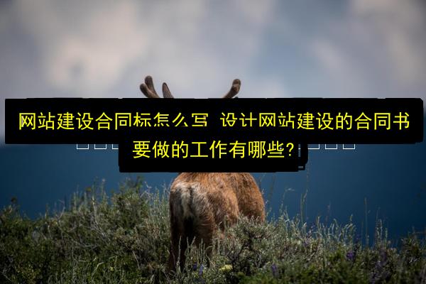 文章配图