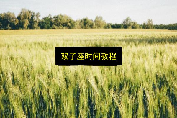 双子座时间教程插图 文章配图