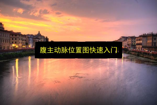 腹主动脉位置图快速入门插图 文章配图