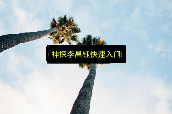 神探李昌钰快速入门插图 文章配图