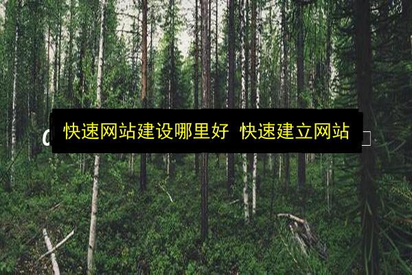 文章配图