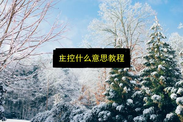 文章配图