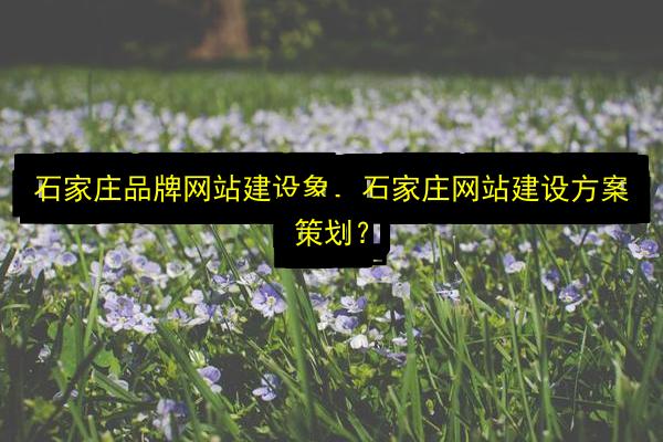 文章配图