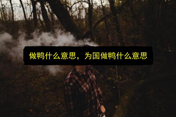 做鸭什么意思,为国做鸭什么意思插图 文章配图