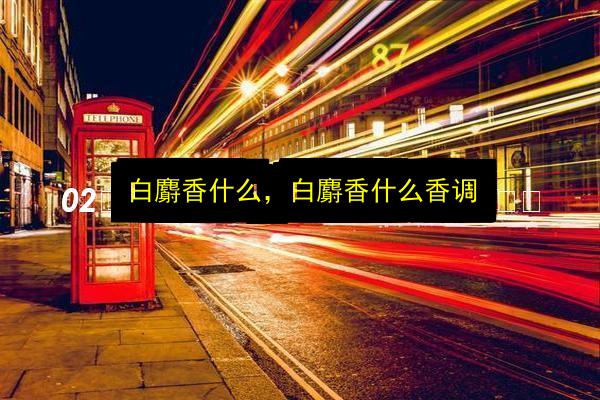 白麝香什么,白麝香什么香调插图 文章配图