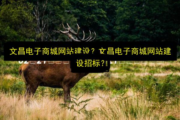 文章配图