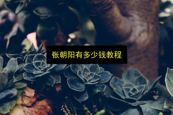 文章配图